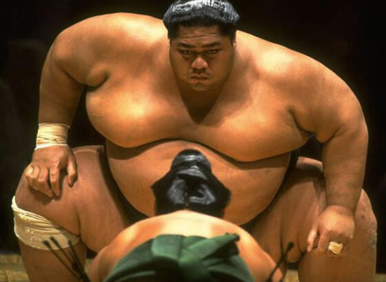 Sumo Wrestler - Big